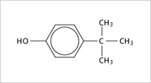 p-tert-butylfenol